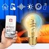 Alpina Smart Wifi Bulb E27 Warm/Cold White 4,9W