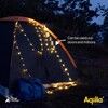 Aqiila LightBird BL2 Loop Light with Powerbank