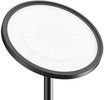 BlitzWolf FL-0002 Smart Floor Lamp 25W