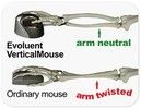 Evoluent Verticalmouse 4 Right Hand