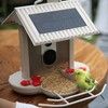 HiBirds Smart Bird Feeder with Wifi Camera