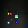 Lite Bulb Moments Smart Light Chain - Globe Facets