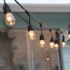 Lite Bulb Moments Smart Light Chain - Vintage Edison