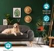 Nedis SmartLife Smart Indoor IP Camera