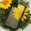 Pela Clear Eco-Friendly Case (iPhone 11)