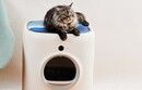 Petkit Cooling Cat/Laptop Pad