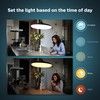 Philips Hue Dimmer Smart Switch V2