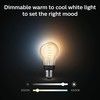 Philips Hue White Ambiance Filament E2