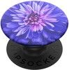 PopSockets PopTop - Flowers & Animals