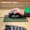 Trust Bayo II Ergonomisk Mus