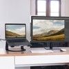 Twelve South Curve (Macbook)