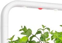 Click and Grow -vaihtolamppu Smart Garden 9:lle