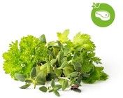 Click And Grow Smart Garden Refill 9-pakkaus