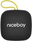 Niceboy Raze Mini 4 Bluetooth-kaiutin FM-radiolla