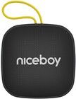 Niceboy Raze Mini 4 Bluetooth-kaiutin FM-radiolla