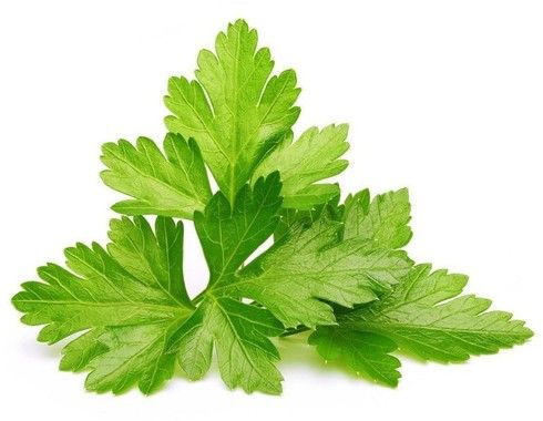 Click And Grow Smart Garden Refill 3-pack - Basilika
